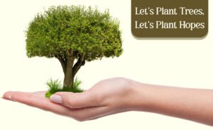 Contribute to environmental sustainability_ Plant trees