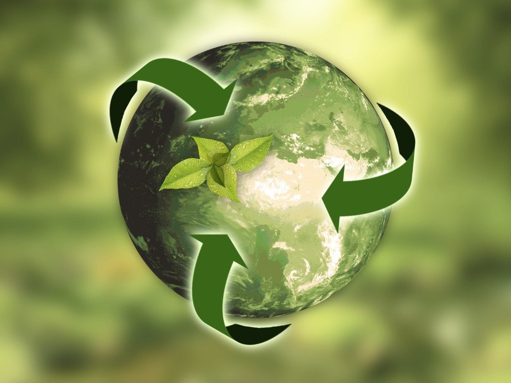 Sustainability: What it is and why it’s the need of the hour?