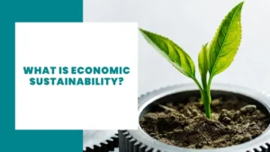 What is economic sustainability? Definition of Economic Sustainability