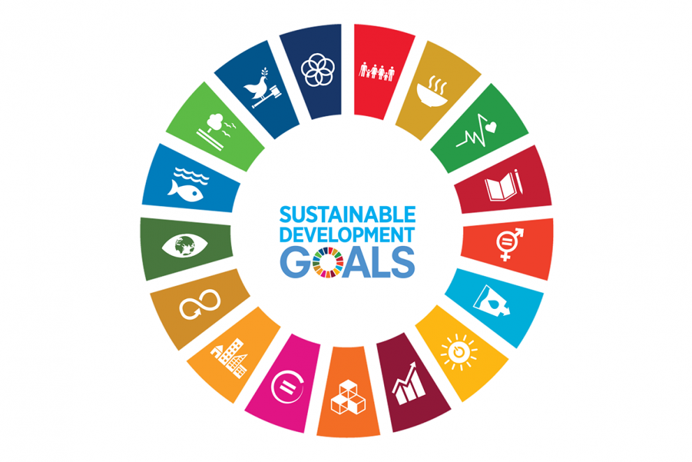 What is UN SDG? How many sustainable development goals are there?