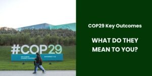 COP29 key outcomes and how they affect you