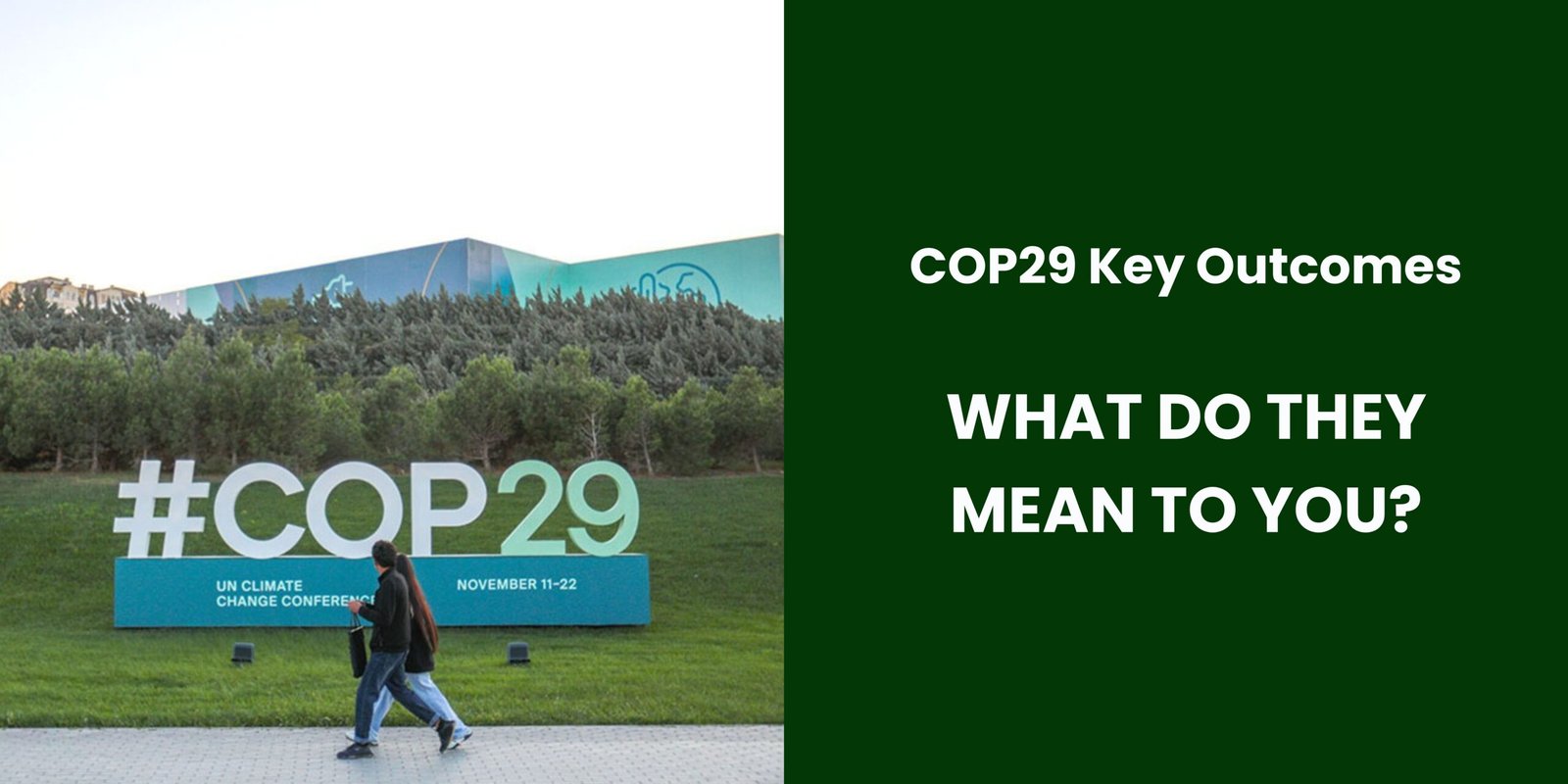 COP29 Key Outcomes: What do they mean to you?