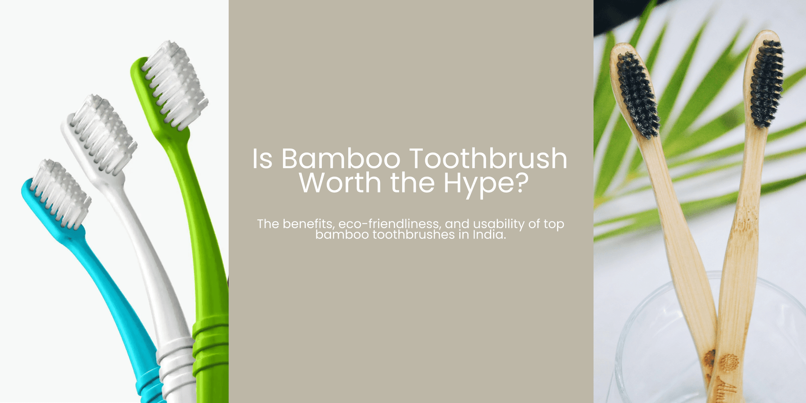 Bamboo Toothbrushes: Are They Really Eco-friendly And Worth It?