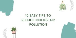 Reduce indoor air pollution with these 10 easy and effect ways