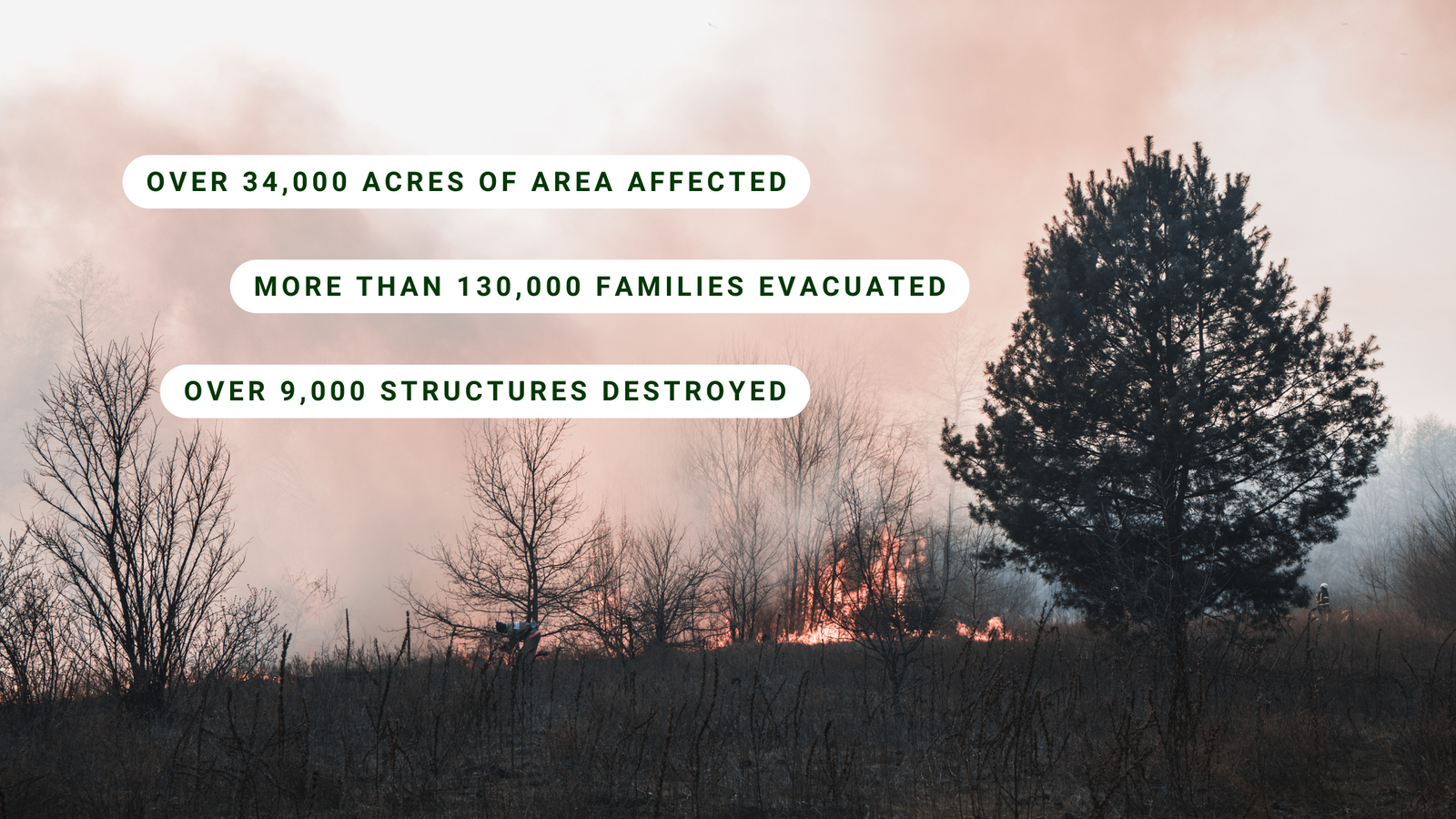 California Wildfire 2025 and Climate change