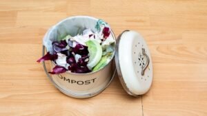Turn kitchen scraps into plant food.